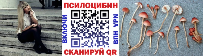 цены Ахтубинск Галлюциногенные грибы мухоморы
