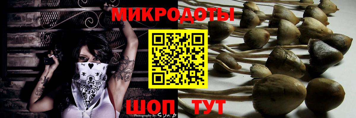 Галлюциногенные грибы мухоморы  Вход с VPN  Ахтубинск  Галлюциногенные грибы Psilocybine cubensis 
